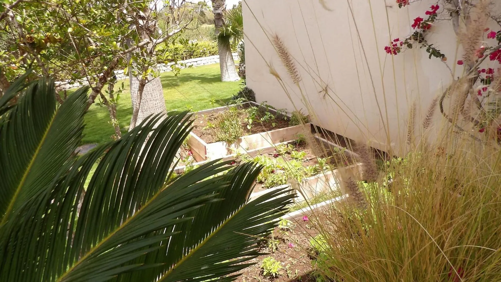 אסאוירה Villa Luxeuse Et Climatisee Sur Le Golf, Piscine Chauffee 0*,  מרוקו